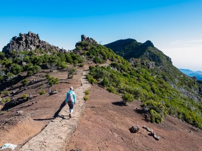 Mistige bergtoppen en laurierbos in het binnenland van Madeira.