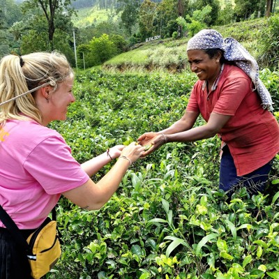 Reiziger plukt thee met lokale plukker op een theeplantage in Sri Lanka tijdens een 22-35ers groepsrondreis.
