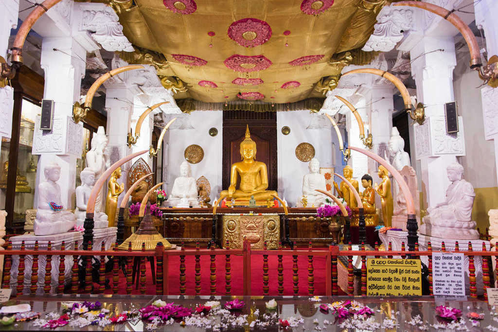 Gouden boeddhabeeld in een tempel in Sri Lanka, met offers en decoraties tijdens de groepsrondreis hoogtepunten.