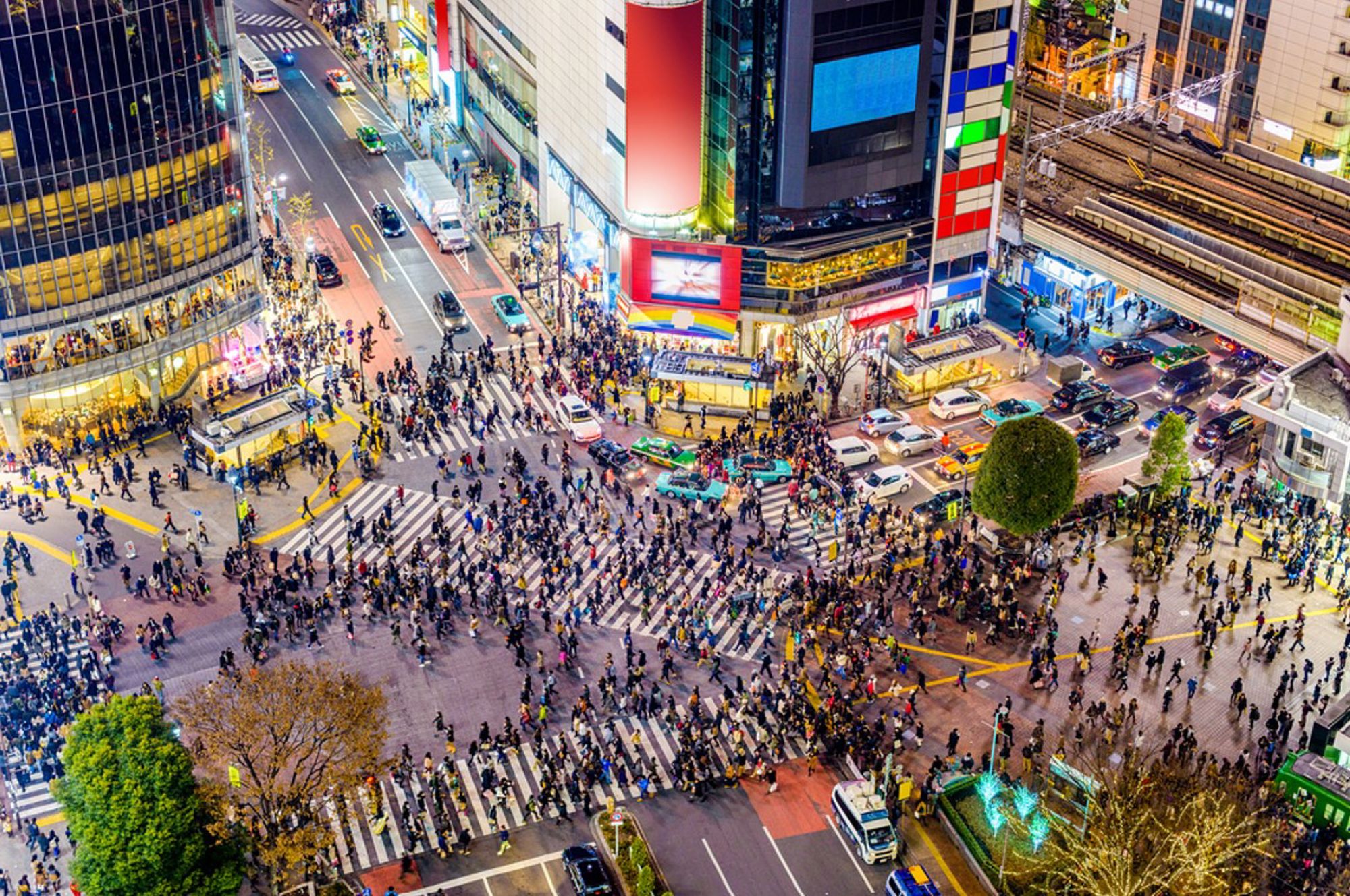 Drukke Shibuya Crossing in Tokio met honderden voetgangers, neonreclames en verkeer bij schemering.