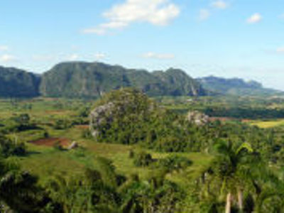 Groene vallei met mogotes en palmbomen in Viñales, Cuba.