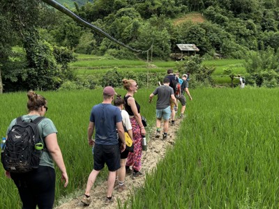 Groepswandeling over een smal pad door groene rijstvelden, met bergen op de achtergrond in Laos.