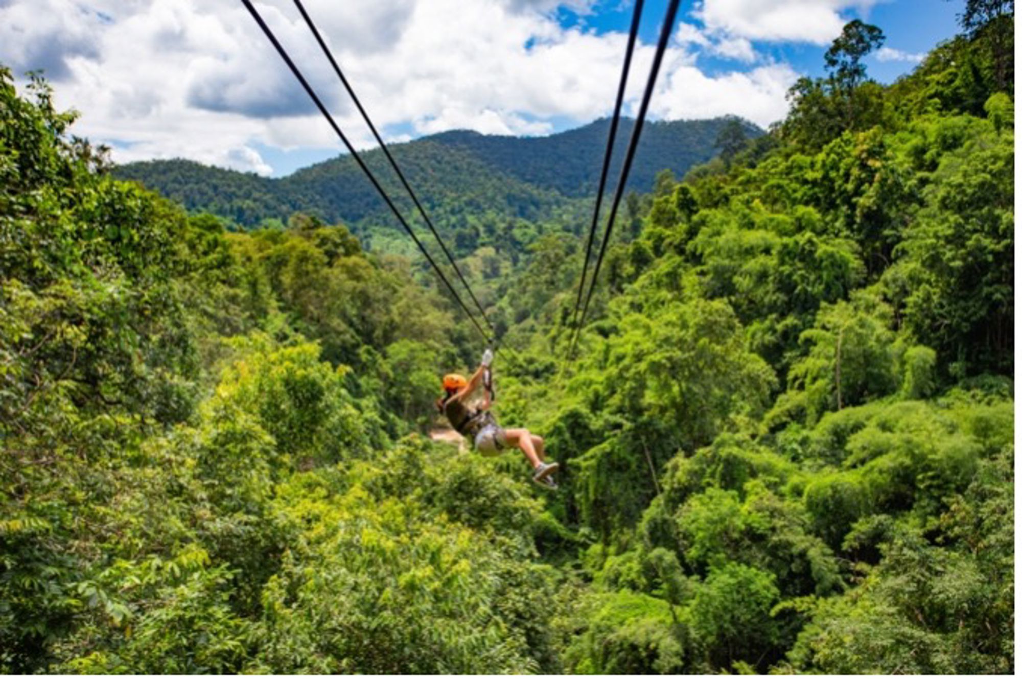 Zipline-avontuur boven groen regenwoud met bergen op de achtergrond, hoogtepuntenreis /.
