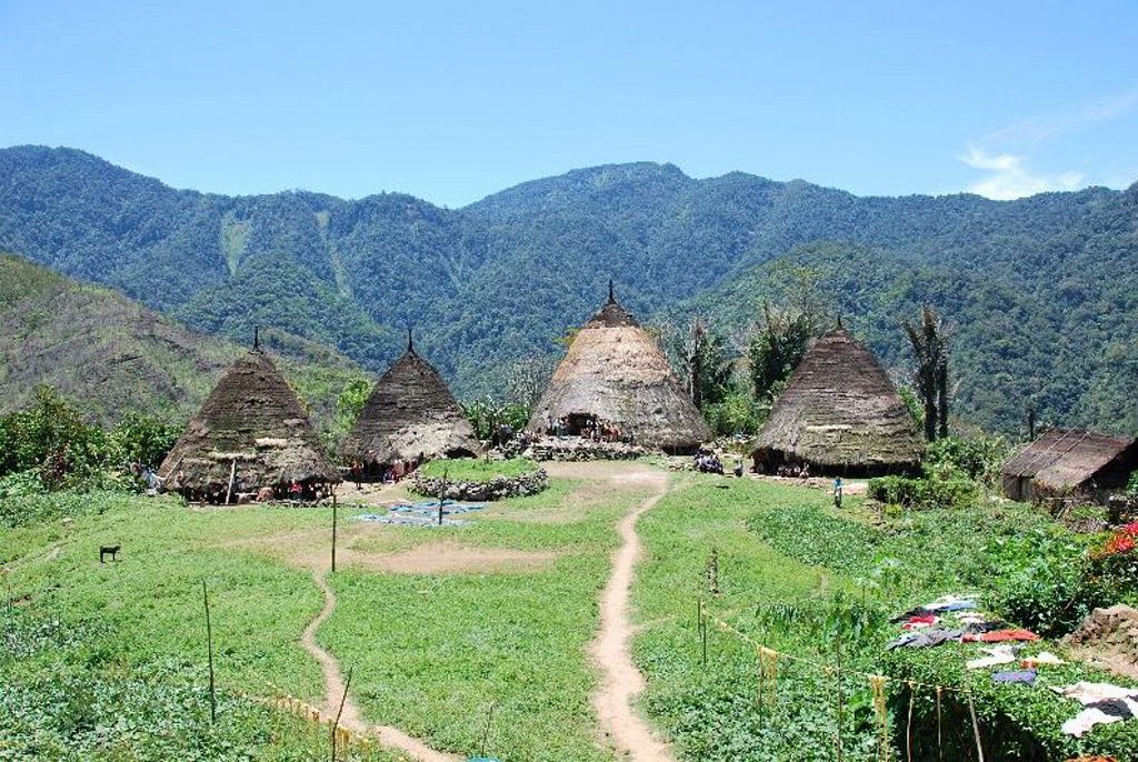 Traditioneel dorp Isu met rieten hutten in de bergen van de Kleine Sunda eilanden, Indonesië.
