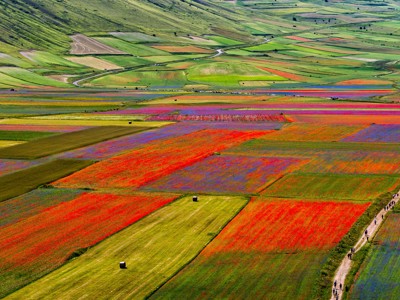 Kleurrijke bloemenvelden en glooiende heuvels in de Centrale Apennijnen, met wandelaars op een landweg.
