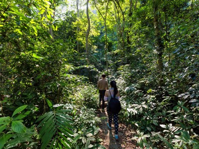 Wandelen door dicht tropisch regenwoud tijdens de Route China & Vietnam, 20 dagen.