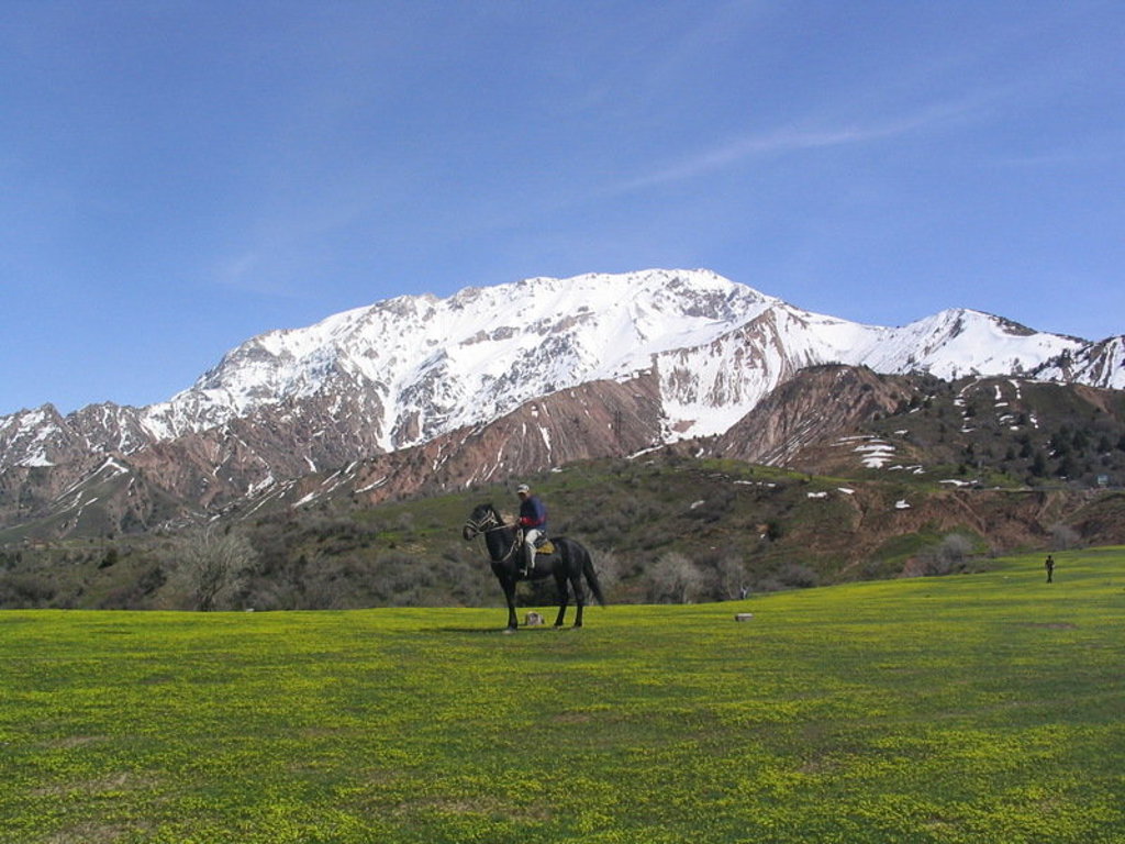 Ruiter te paard in een groene vallei met besneeuwde bergen in Oezbekistan tijdens een groepsrondreis.