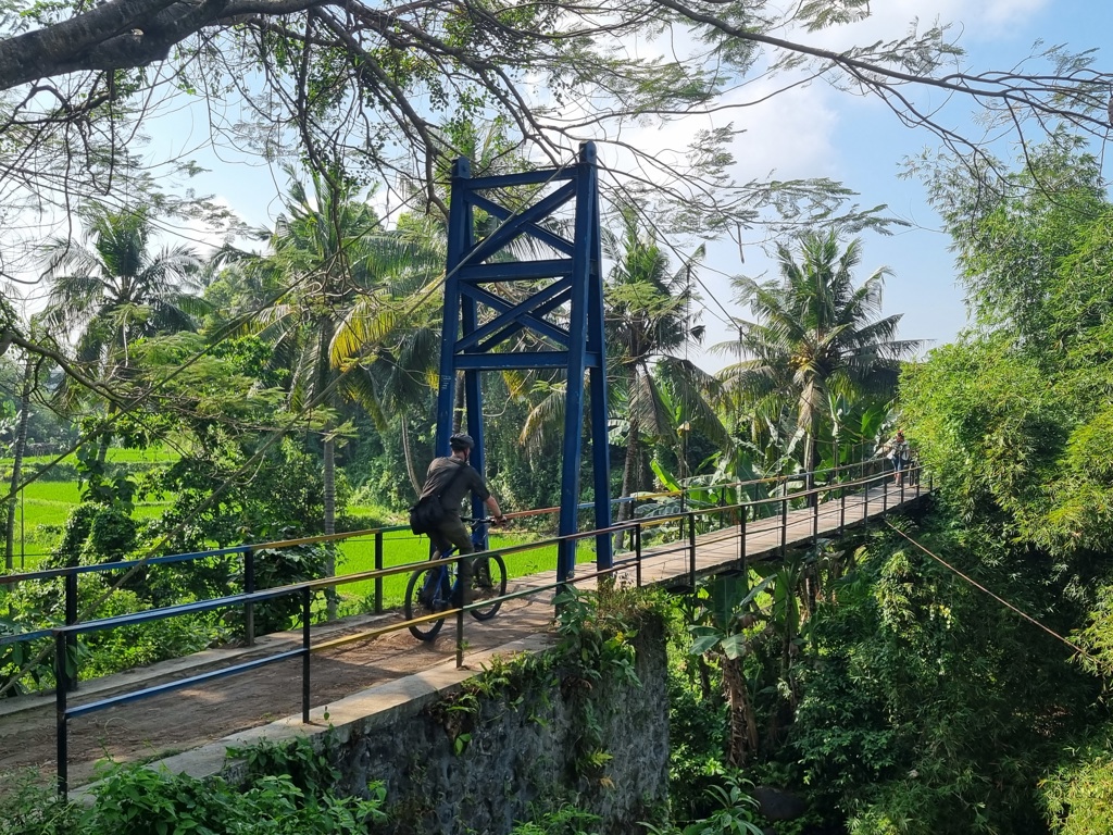 Fietser op hangbrug tussen rijstvelden en palmbomen tijdens familiereis Kleine Sunda Eilanden, Indonesië.
