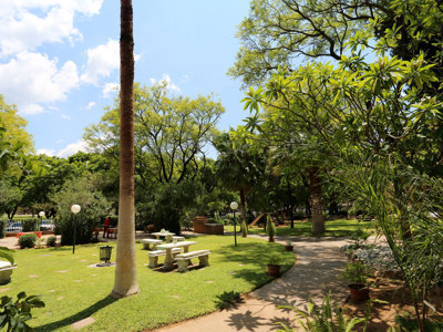 garden