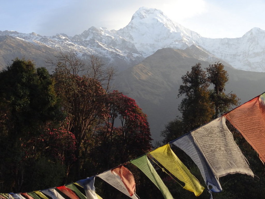 Gebedsvlaggen met uitzicht op besneeuwde Himalaya-bergen tijdens een groepsrondreis door Nepal.