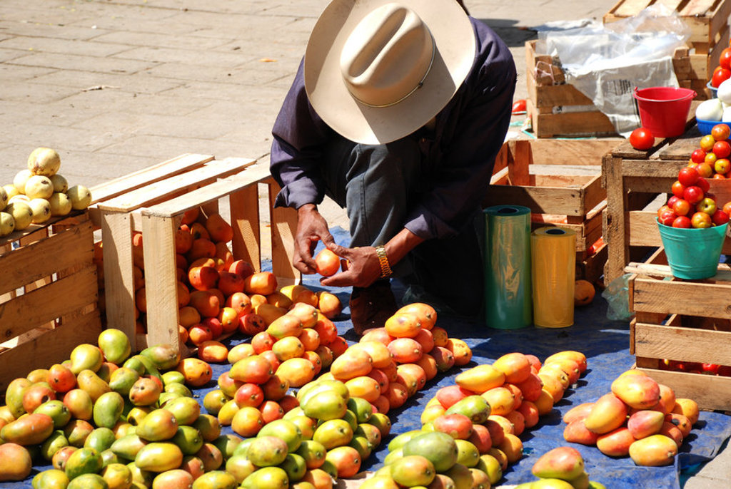 Marktverkoper sorteert mango’s en tomaten op een lokale markt tijdens groepsrondreis Mexico, Guatemala en Honduras.