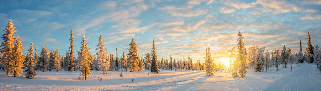 Winterlandschap in Lapland bij Kylmäluoma met besneeuwde dennen en laagstaande zon bij de poolcirkel.