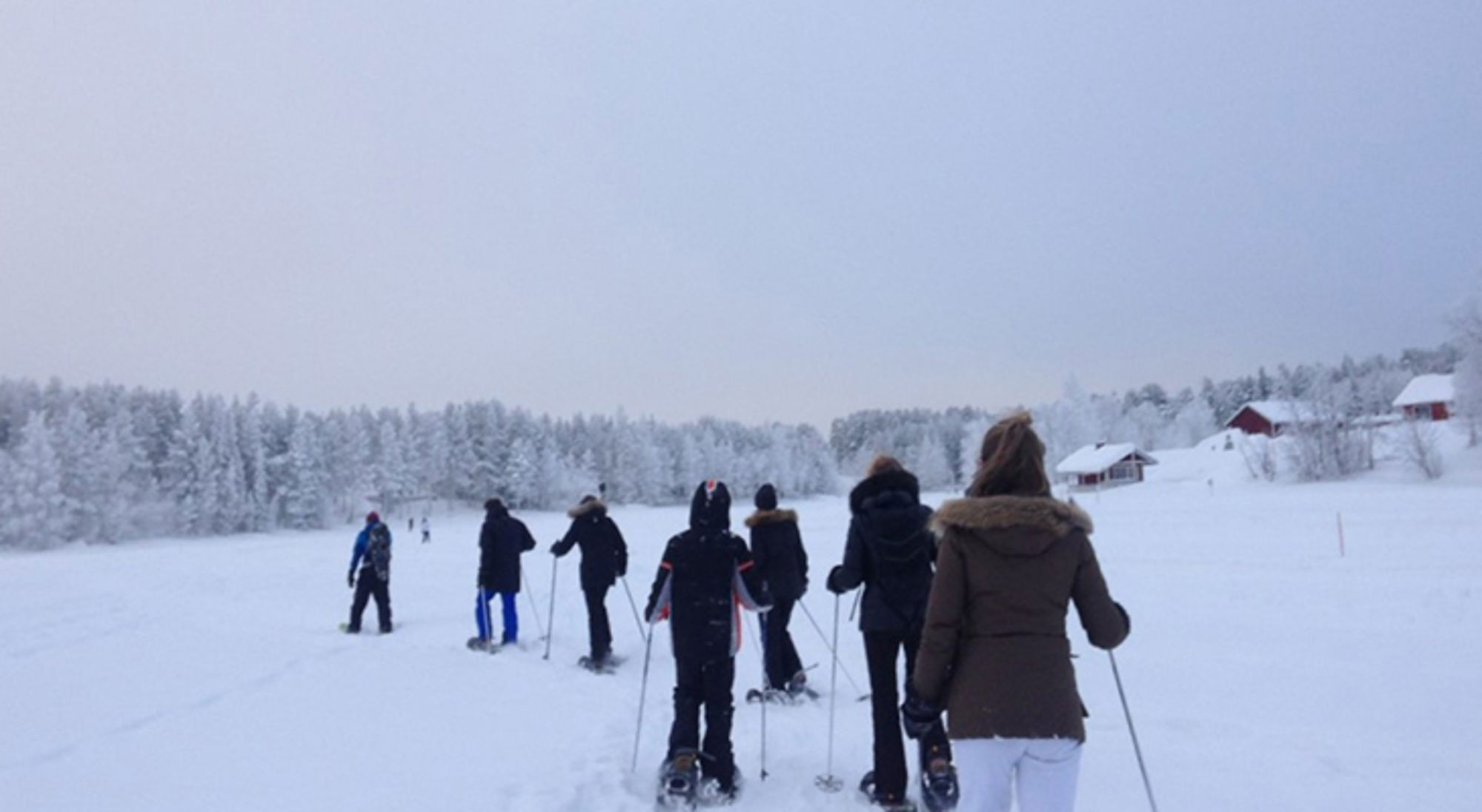 Groep wandelt met sneeuwschoenen door een besneeuwd landschap met dennenbos en houten huisjes op de achtergrond.
