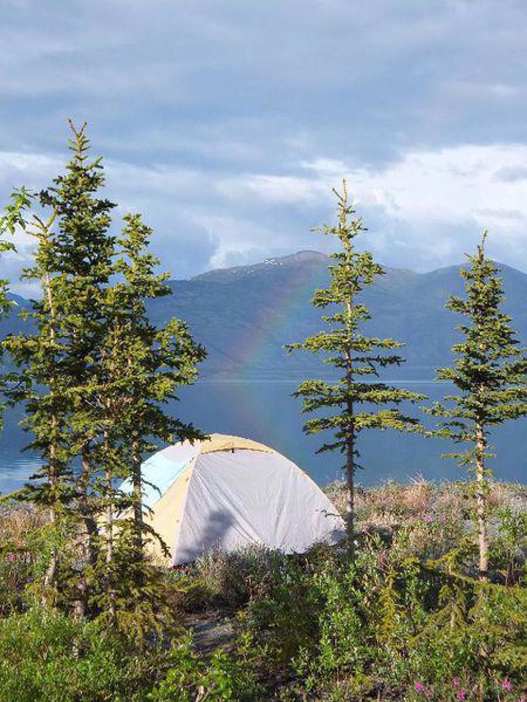 Nevelig berglandschap met naaldbomen in Alaska tijdens groepsrondreis kampeer/hotel.