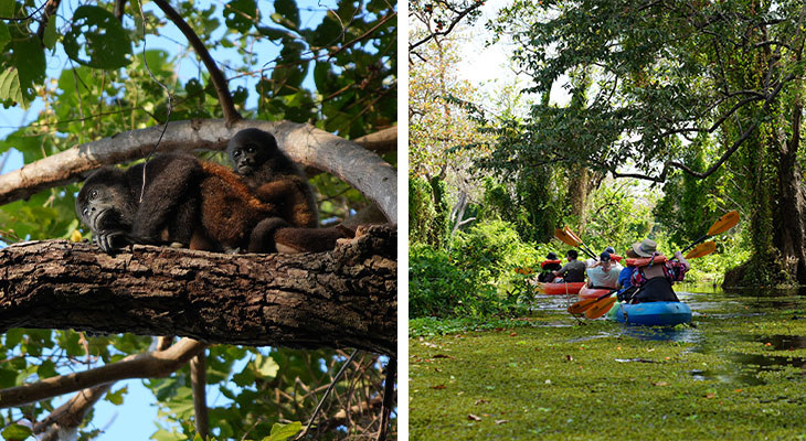 Isla_de_Ometepe_Nicaragua.jpg
