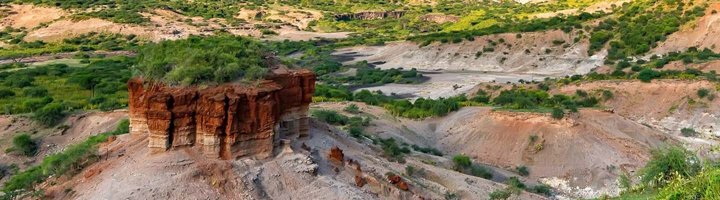 Uitzicht over de Olduvai Gorge-kloof in Tanzania, met rotswanden en savannelandschap.