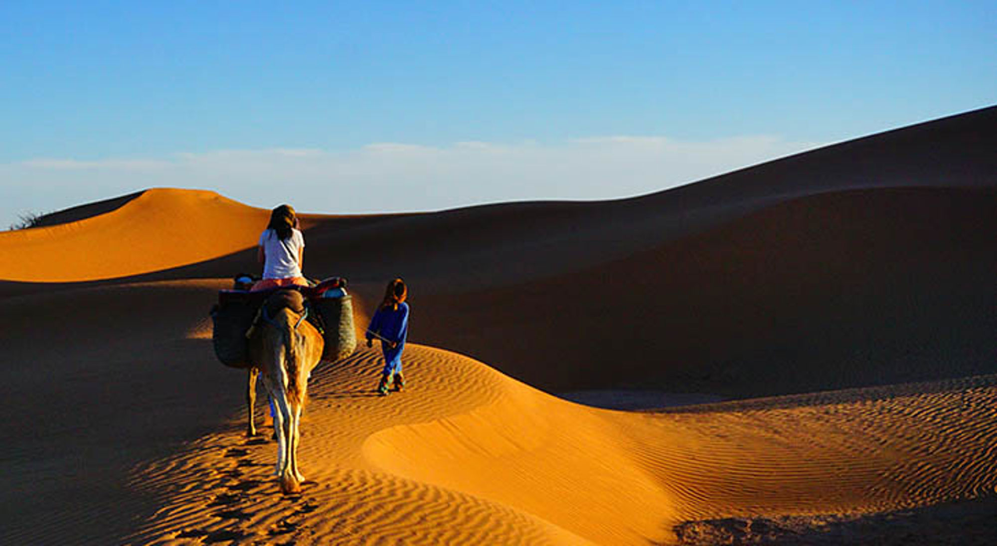 Kameeltocht met reiziger door zandduinen in de Sahara in Marokko.