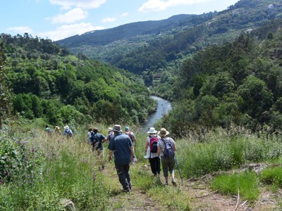 Wandelaars dalen af door groen landschap met rivier in de Douro Vallei, Portugal.