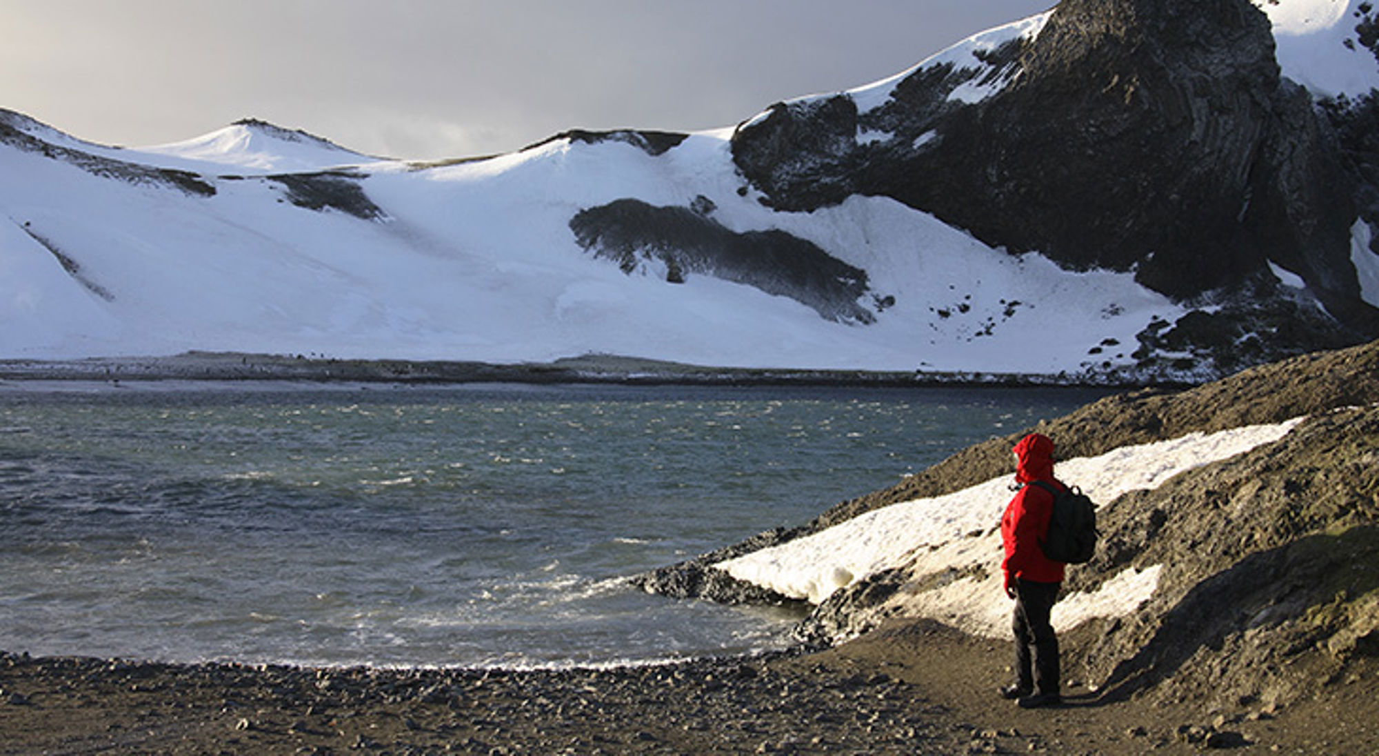 south-shetlands Wandelaar in rode jas kijkt uit over een fjord met besneeuwde bergen.