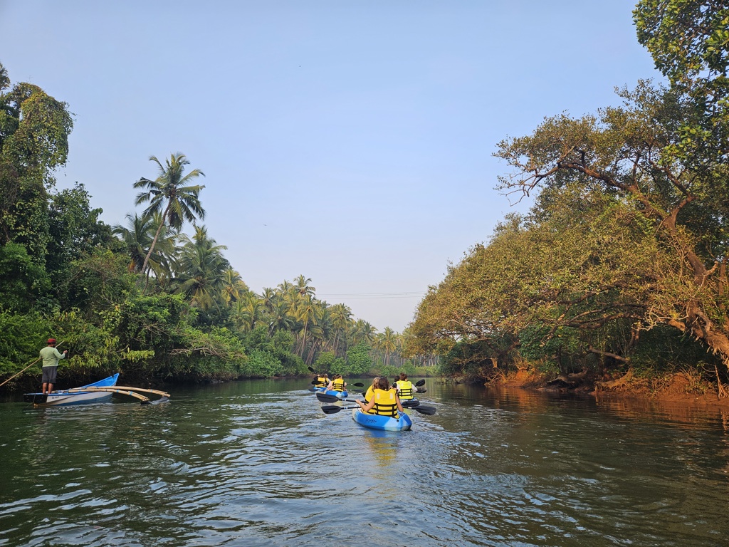 22-35ers groepsreis India: kajakken door een rivier met palmbomen en jungle langs de oever.