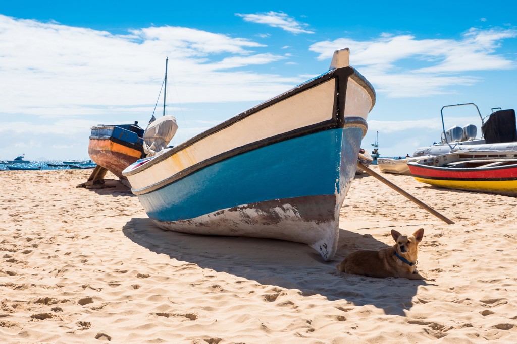 Vissersboot op het strand van Kaapverdië, met een hond in het zand en andere boten op de achtergrond.
