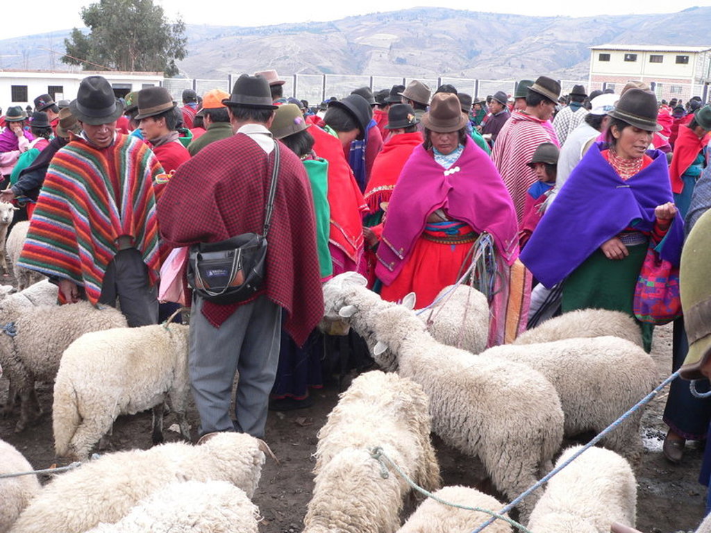 Markt in Ecuador met mensen in kleurrijke poncho’s en hoeden tussen schapen, met bergen op de achtergrond.