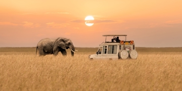 Groepsrondreis Zuidelijk Afrika Hoogtepunten