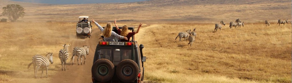 Safari met open jeep langs zebra’s in Tanzania tijdens familiereis Tanzania en Zanzibar.