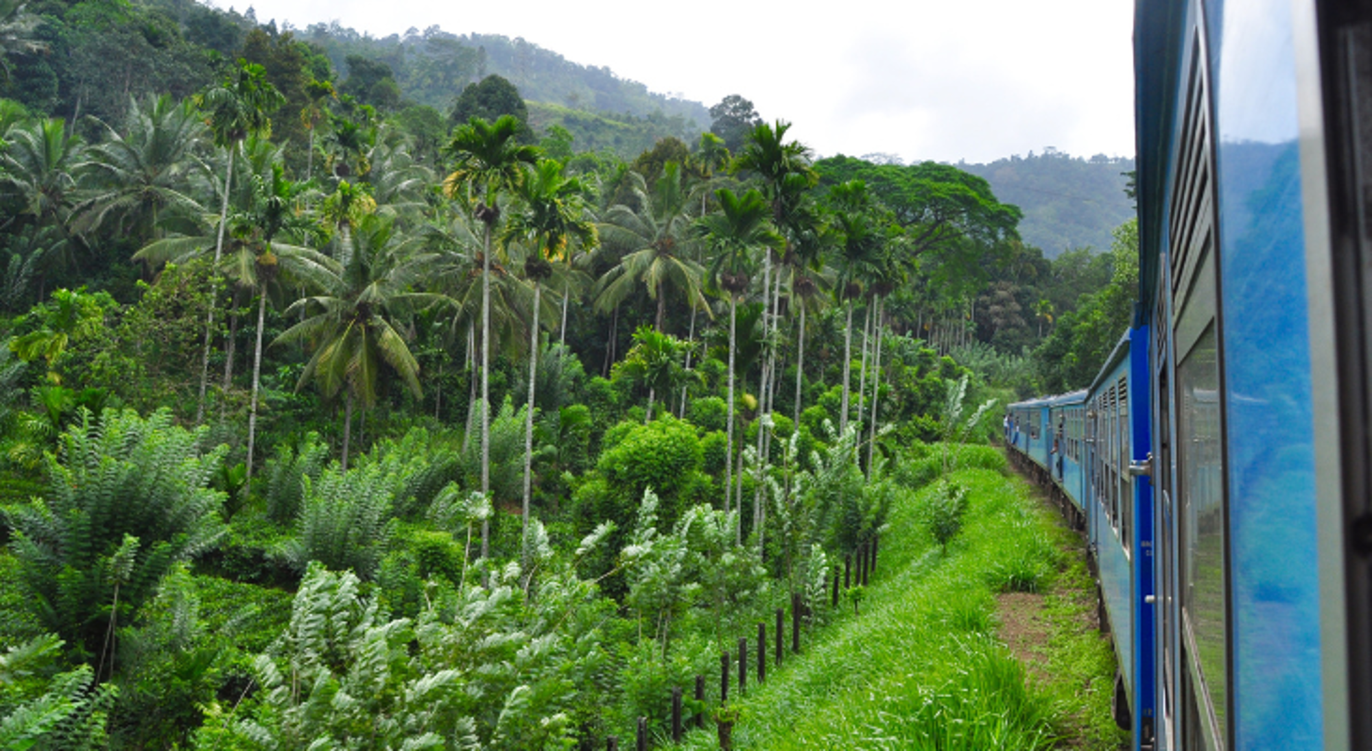 Treinreis door natuur Sri Lanka Blauwe trein rijdt door groen tropisch landschap met palmbomen en heuvels.