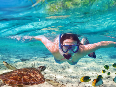 Snorkelaar in helderblauw water bij een zeeschildpad en tropische vissen op de Malediven.