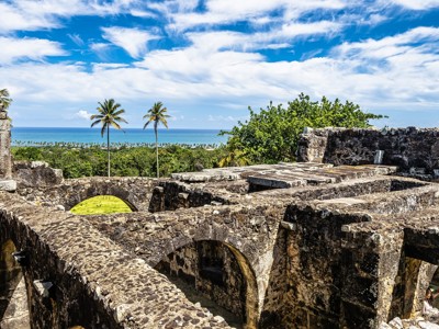 Uitzicht vanaf historische ruïnes aan de kust van Brazilië, met palmbomen, oceaan en blauwe lucht.