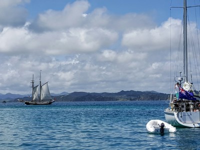 Zeilboot met reizigers op de Bay of Islands in Nieuw-Zeeland, met heuvels en een tweede schip op de achtergrond.