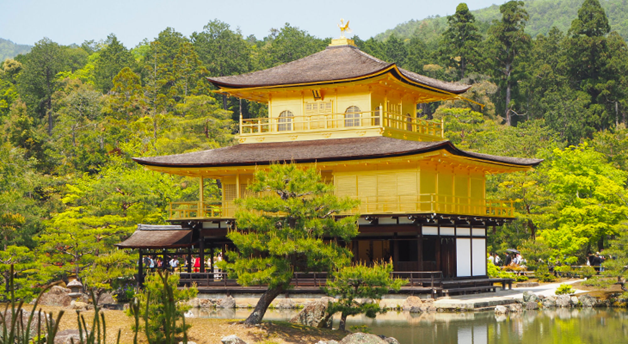 Gouden Paviljoen Kinkaku-ji in Kyoto, omringd door groen en weerspiegeld in de vijver.