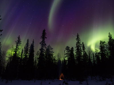 Noorderlicht boven besneeuwd bos in Lapland tijdens de Route Lapland winterreis.