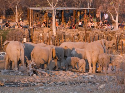 waterhole
