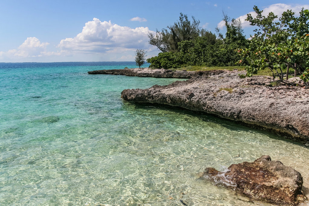 Turquoise zee bij een rotsachtige kust met helder water en groen langs de oever, Cuba.