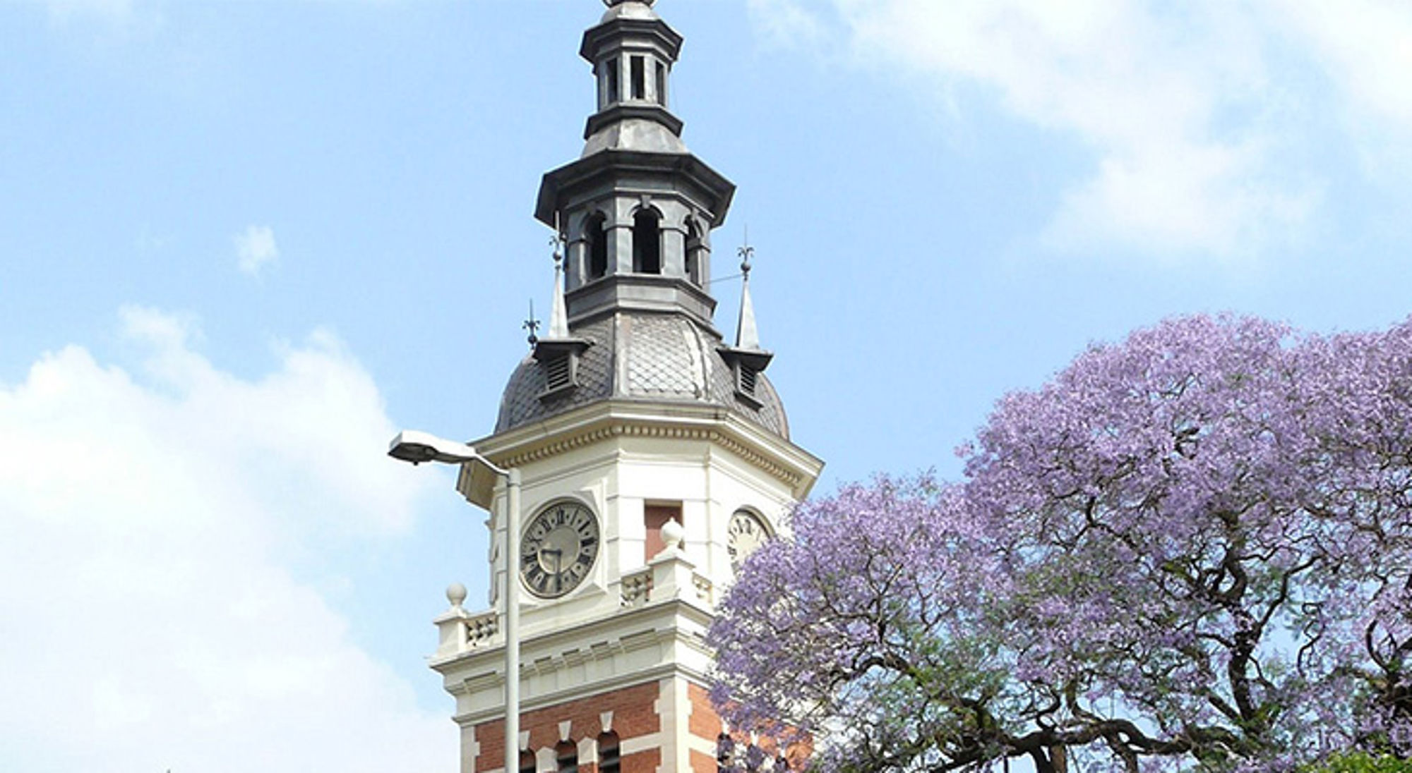 Real Casa de Correos in Johannesburg Klokkentoren van het stadhuis in Kaapstad naast een bloeiende jacarandaboom.