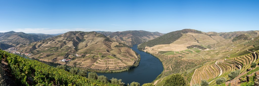 Panorama van de Douro-vallei in Portugal met de rivier en terrasvormige wijngaarden.