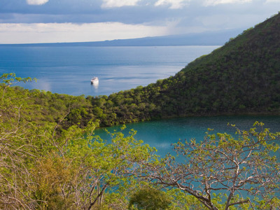 Uitzicht over een baai op de Galapagoseilanden met een cruiseschip op zee en groene heuvels op de voorgrond.