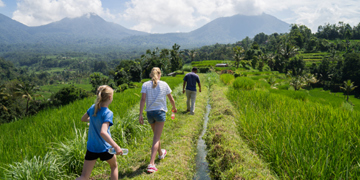 Wandelaars op pad door groene rijstvelden met bergen op de achtergrond in Indonesië.