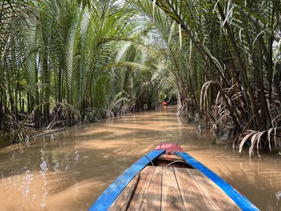 Boottocht door smalle kanaaltjes in de Mekongdelta, omringd door palmbladeren en mangrovebos.
