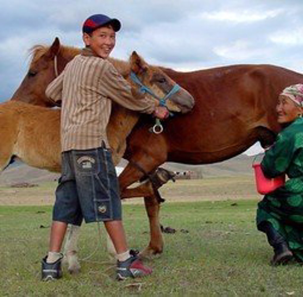 Jongen met twee paarden op de Mongoolse steppe tijdens een groepsrondreis door Mongolië.