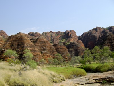 Roodbruine koepelvormige rotsen en grasland in de Bungle Bungle Range, West-Australië.