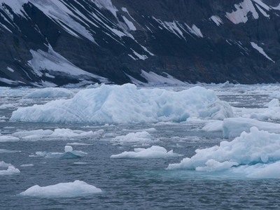 Drijvende ijsbergen in de fjord bij Spitsbergen, met besneeuwde bergen op de achtergrond.