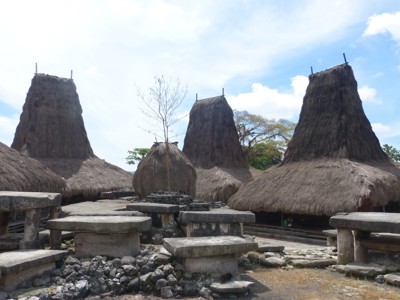 Traditionele Sumbanese rieten huizen en megalithische graven in een dorp op Sumba.