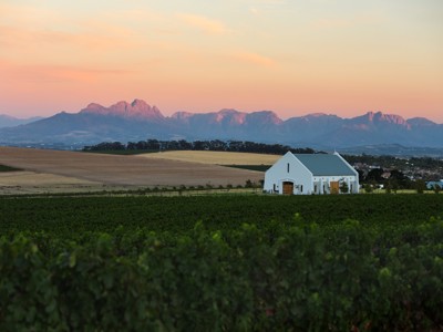 Wijngaard met witte wijnboerderij en bergen bij zonsondergang langs de Tuinroute in Zuid-Afrika.