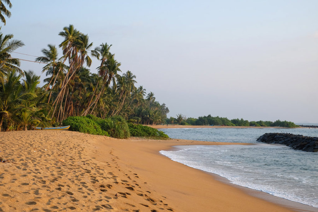Tropisch strand met palmbomen en gouden zand aan de kust van Sri Lanka tijdens een familiereis.