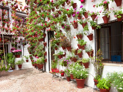 Binnenplaats in Andalusië met witte muren vol bloempotten en kleurrijke bloemen.