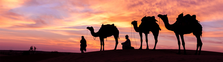 Silhouetten van kamelen en mensen op zandduinen bij zonsondergang tijdens een rondreis in Oman.