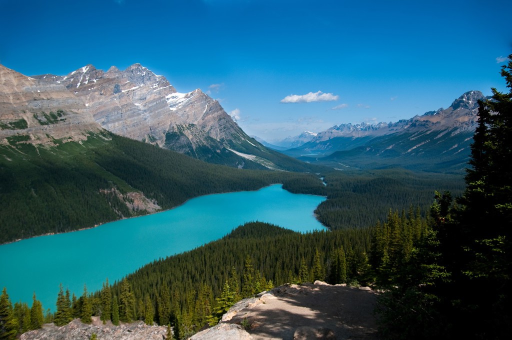 Uitzicht op Peyto Lake in de Canadese Rocky Mountains tijdens familiereis Canada West.